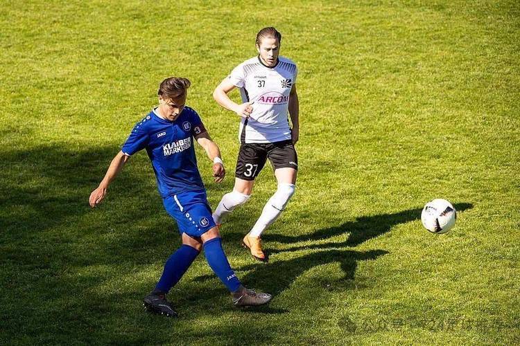 汉诺威96主场击败霍芬海姆 汉诺威96主场击败霍芬海姆