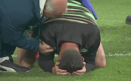 冠军杯决赛现场兴奋异常的简单介绍