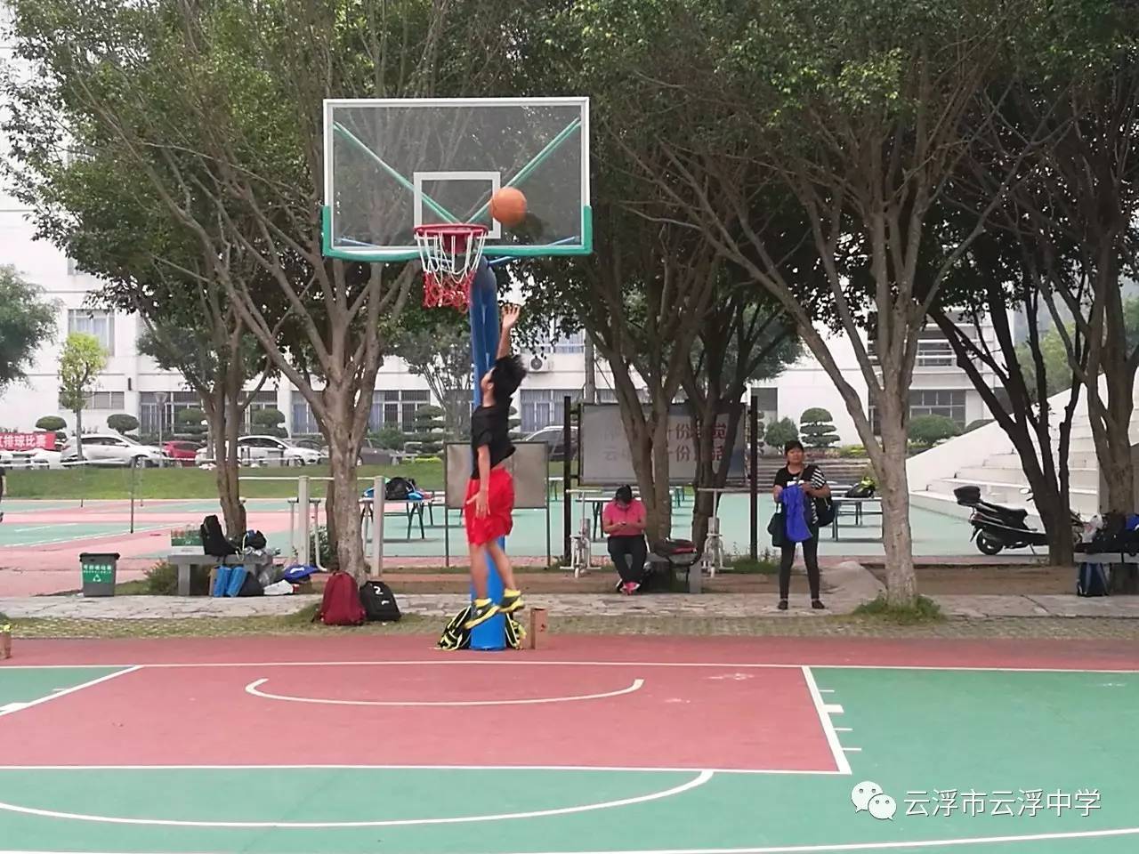 包含大洋洲参赛者获得佳绩：突出个人特长的词条