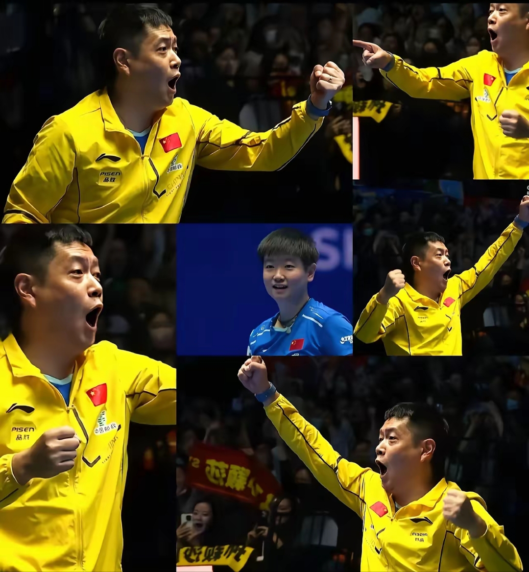开云体育官网-波兰乒乓球队强势中国乒乓球队，波尔制霸全场的简单介绍